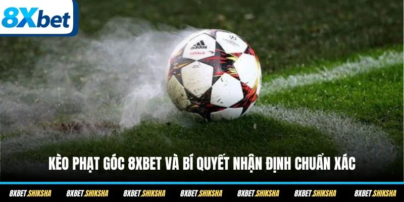 Khám phá kèo phạt góc 8XBET, hiểu rõ cách chơi và có thêm những kinh nghiệm nhận định hay